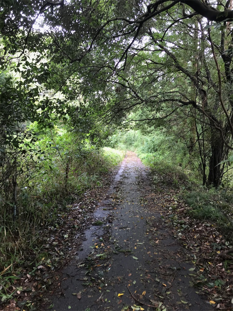 f:id:umanoue:20180914232525j:image f:id:umanoue:20180914232525j:image