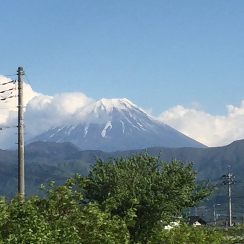 f:id:umaoyaji:20160429155218j:image:w360 f:id:umaoyaji:20160429155218j:image:w360