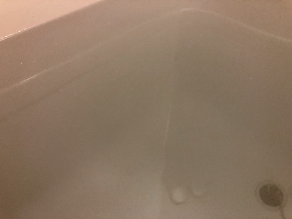 f:id:umauma2011:20190307214807j:plain