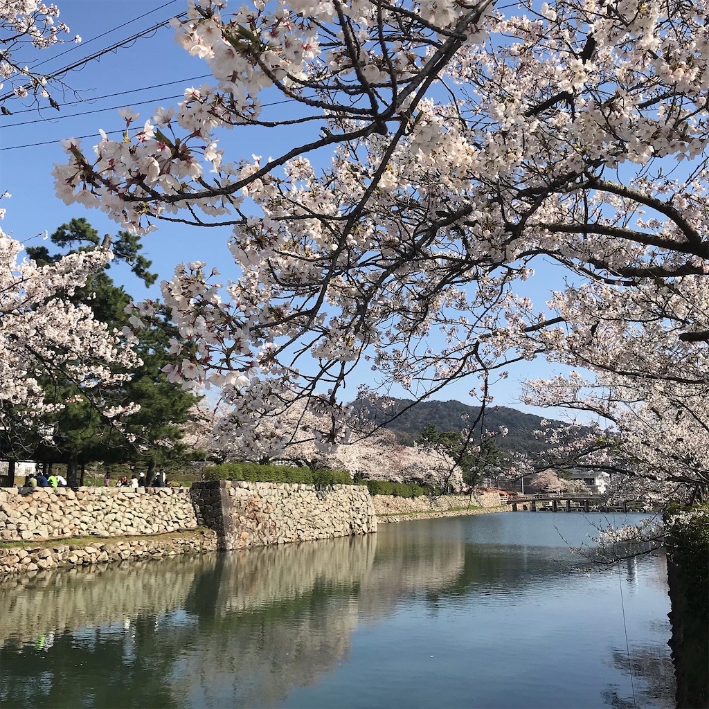 f:id:umauma_gohan:20200510022806j:image