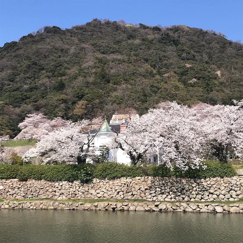 f:id:umauma_gohan:20200510023622j:image