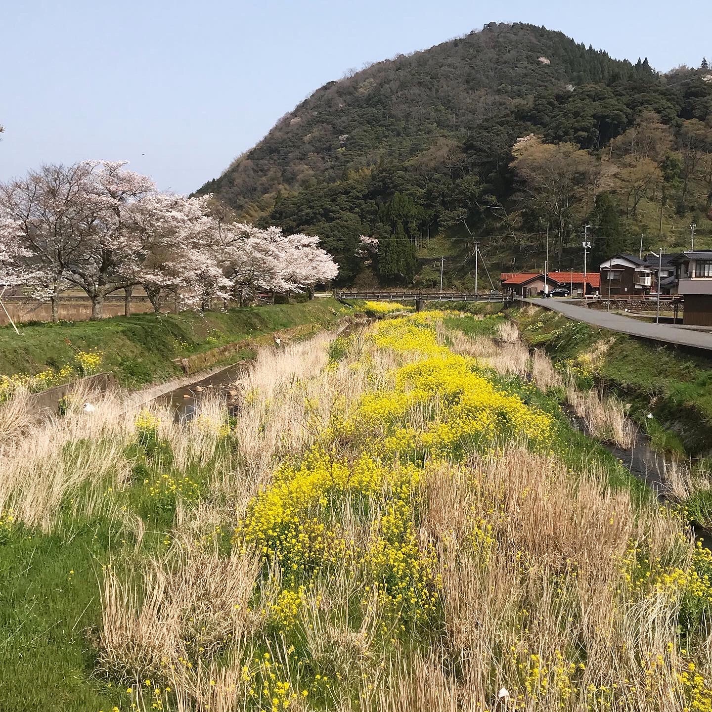 f:id:umauma_gohan:20200511010933j:image