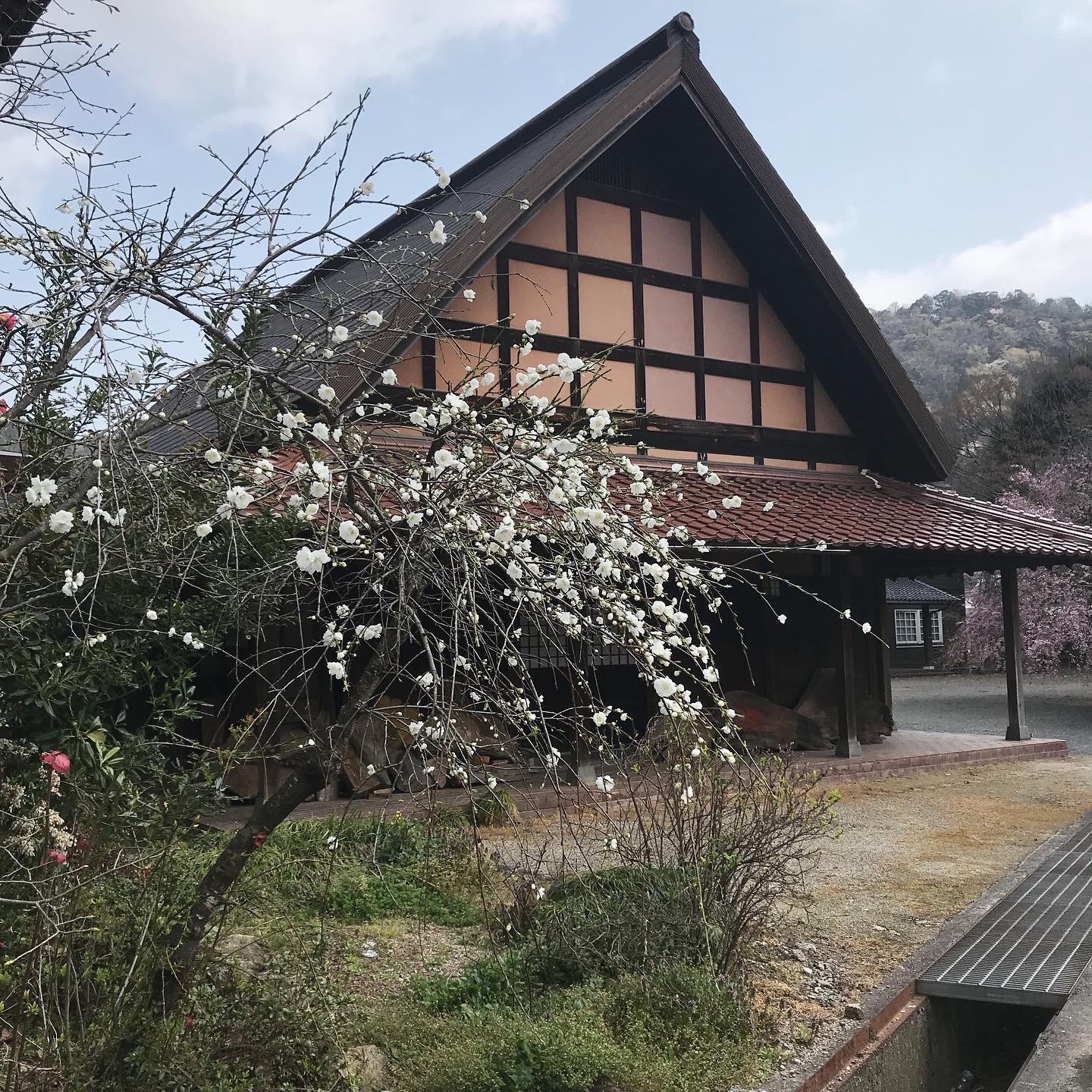 f:id:umauma_gohan:20200511011047j:image
