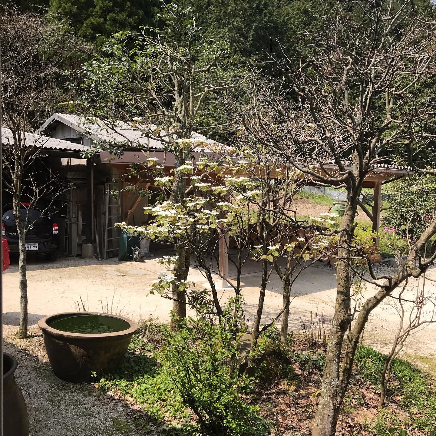 f:id:umauma_gohan:20200511011225j:image