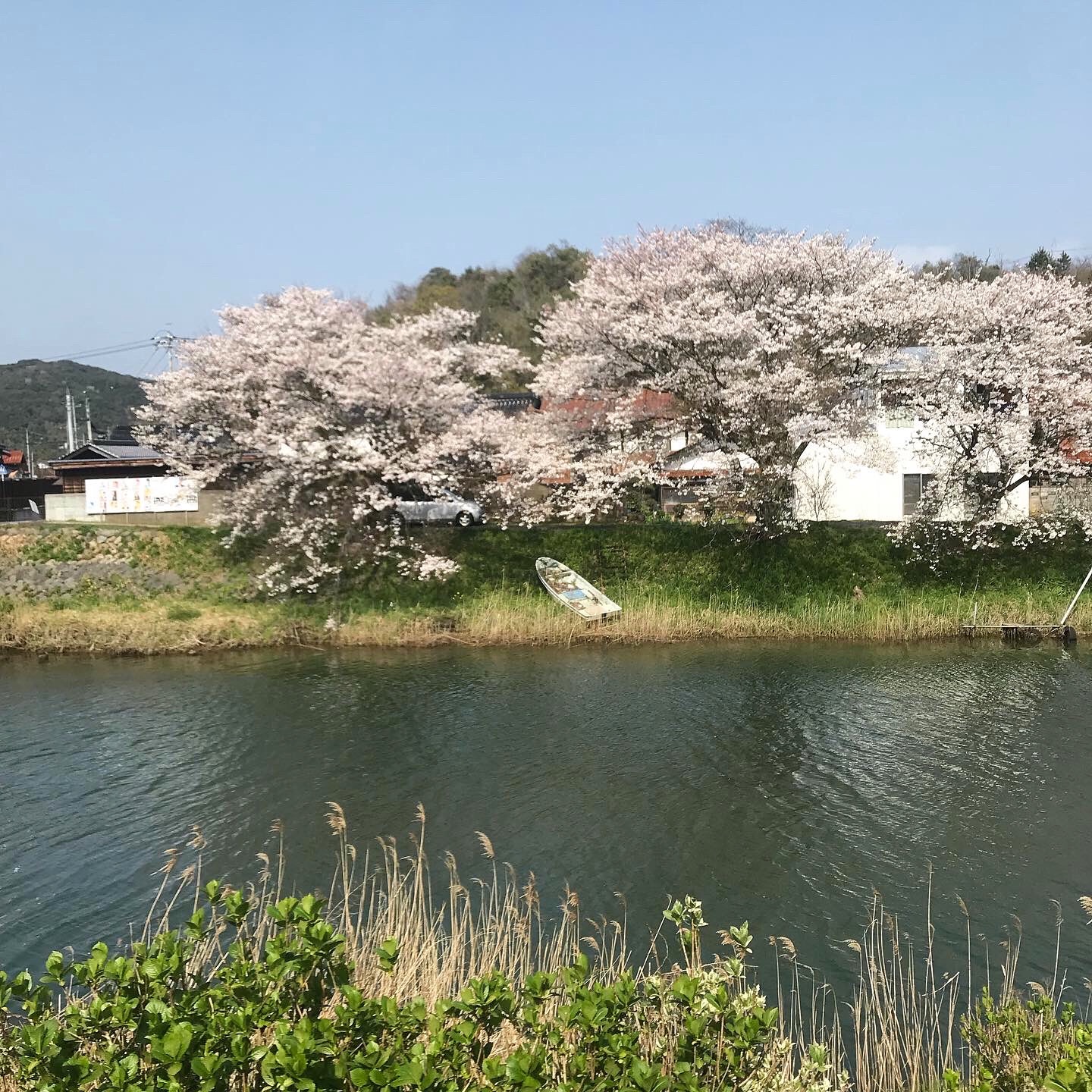 f:id:umauma_gohan:20200511013138j:image