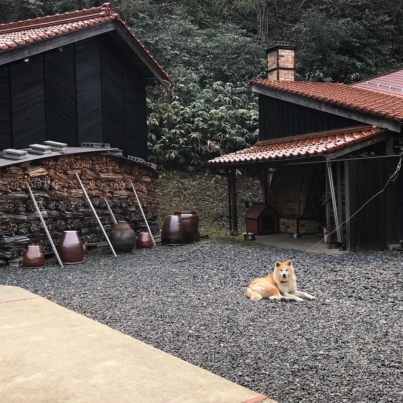 f:id:umauma_gohan:20200512013727j:image