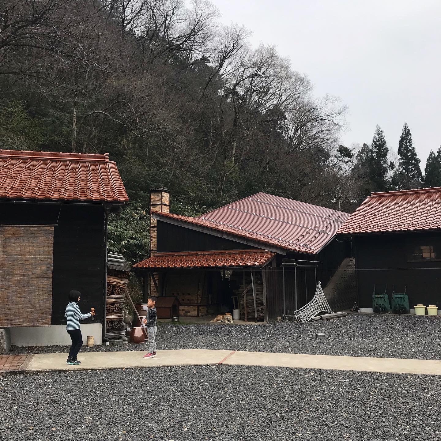 f:id:umauma_gohan:20200512015226j:image