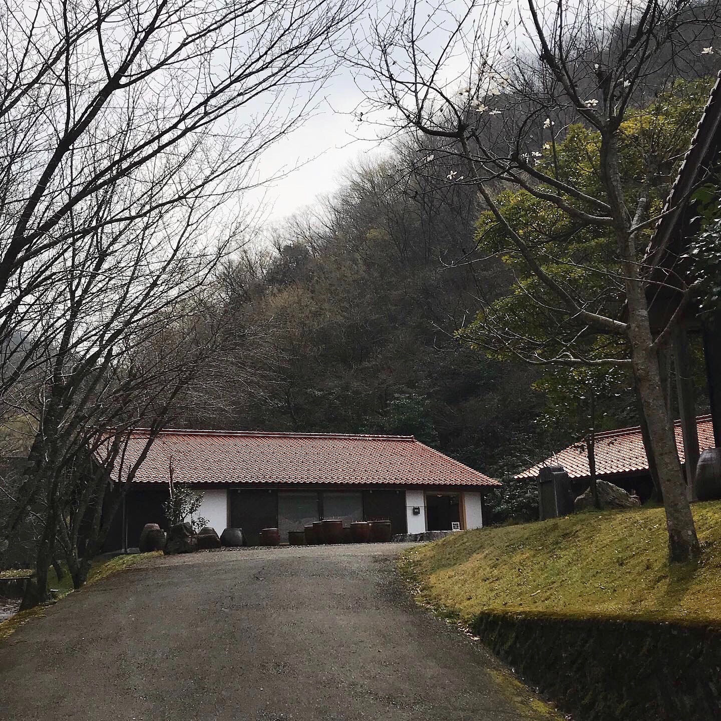 f:id:umauma_gohan:20200512081519j:image