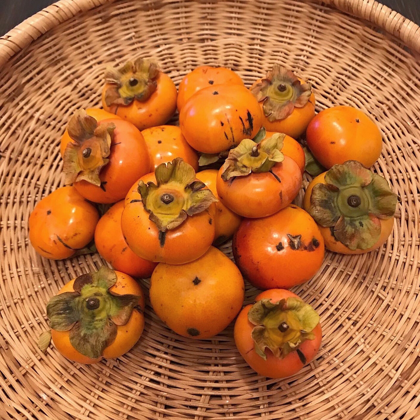 f:id:umauma_gohan:20211121072856j:image