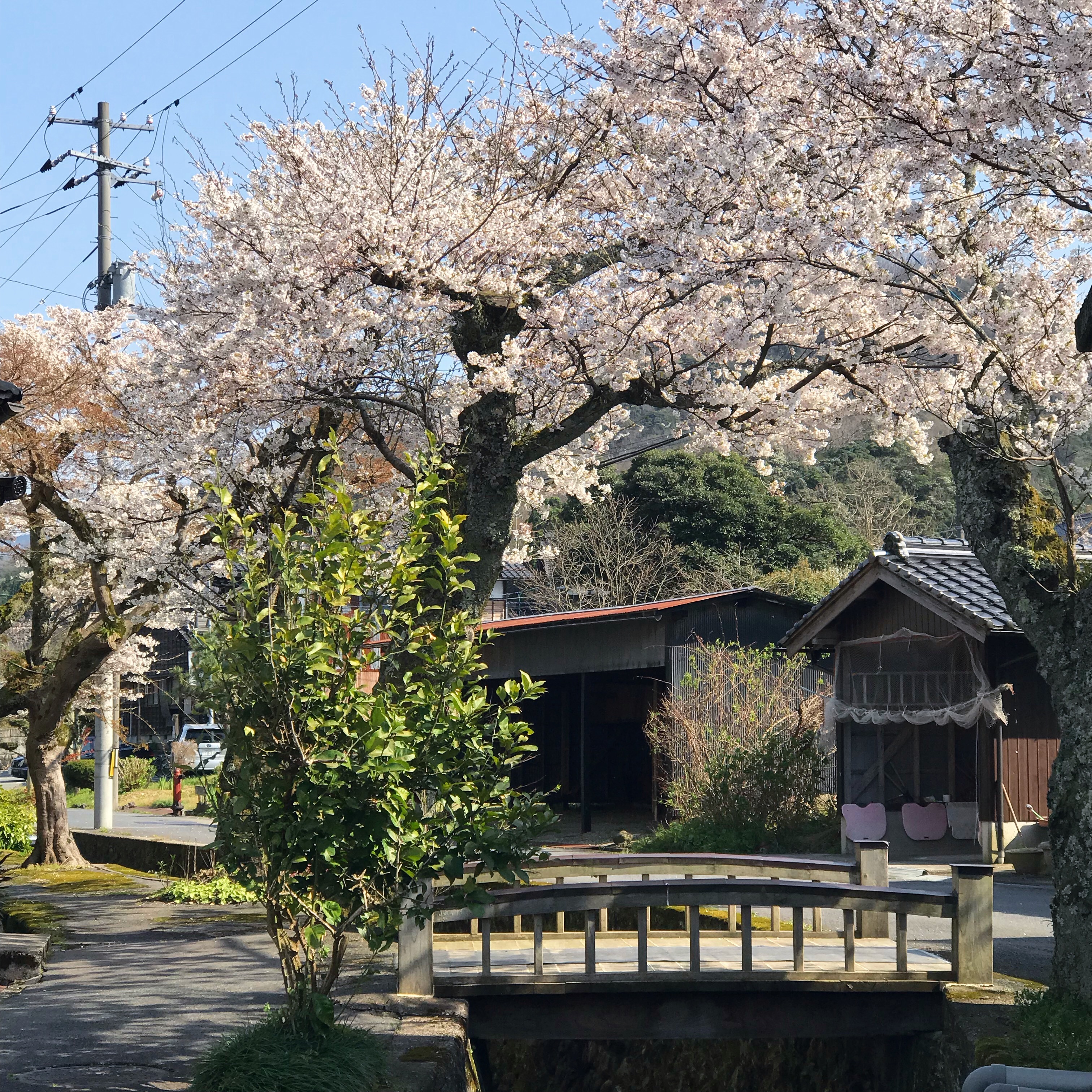f:id:umauma_gohan:20220107060901j:image