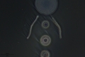 20250706223618