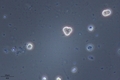 20250712100749