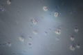 20250712101406