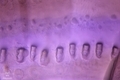 20260301133537
