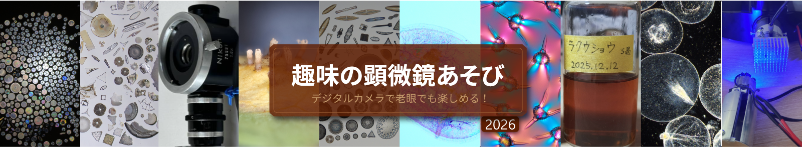 ブログタイトル