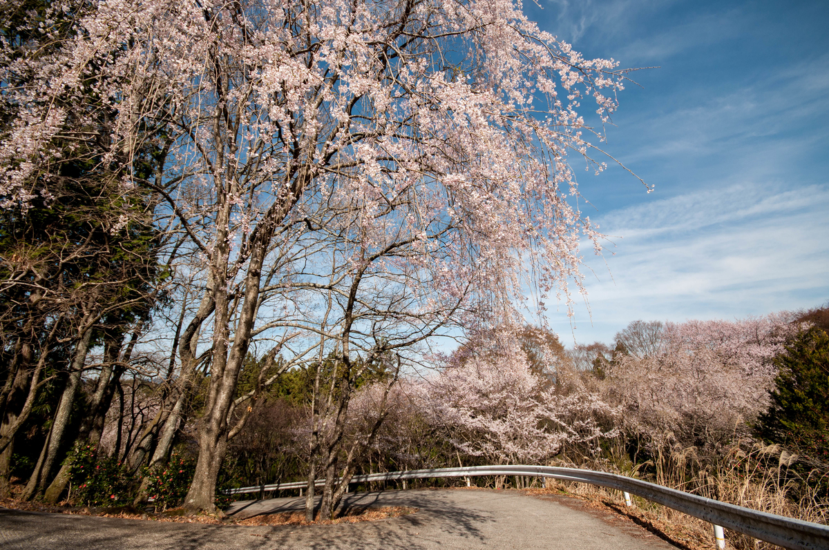 大阪城公園とは 地理の人気 最新記事を集めました はてな 大阪城公園とは 地理の人気 最新記事を集めました はてな