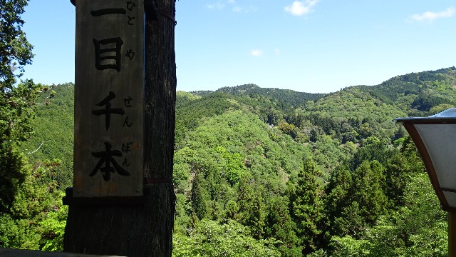 f:id:ume599:20250426210756j:image f:id:ume599:20250426210756j:image