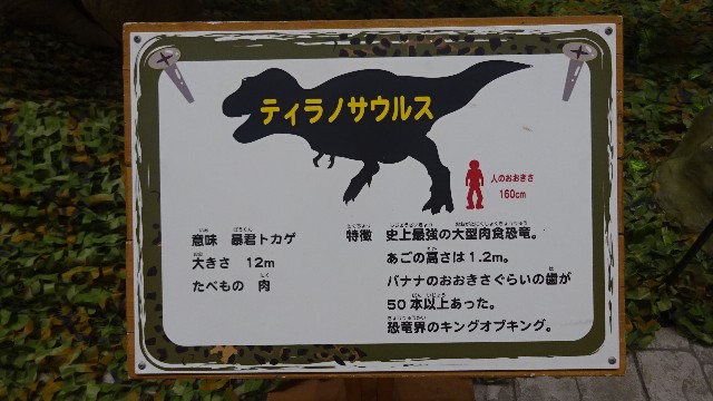 f:id:ume599:20250727193426j:image f:id:ume599:20250727193426j:image