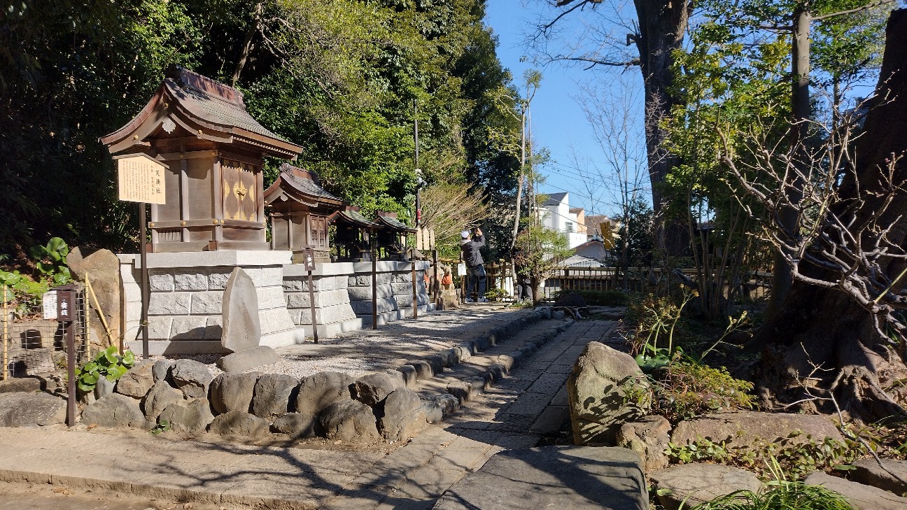 f:id:ume599:20260109212730j:image