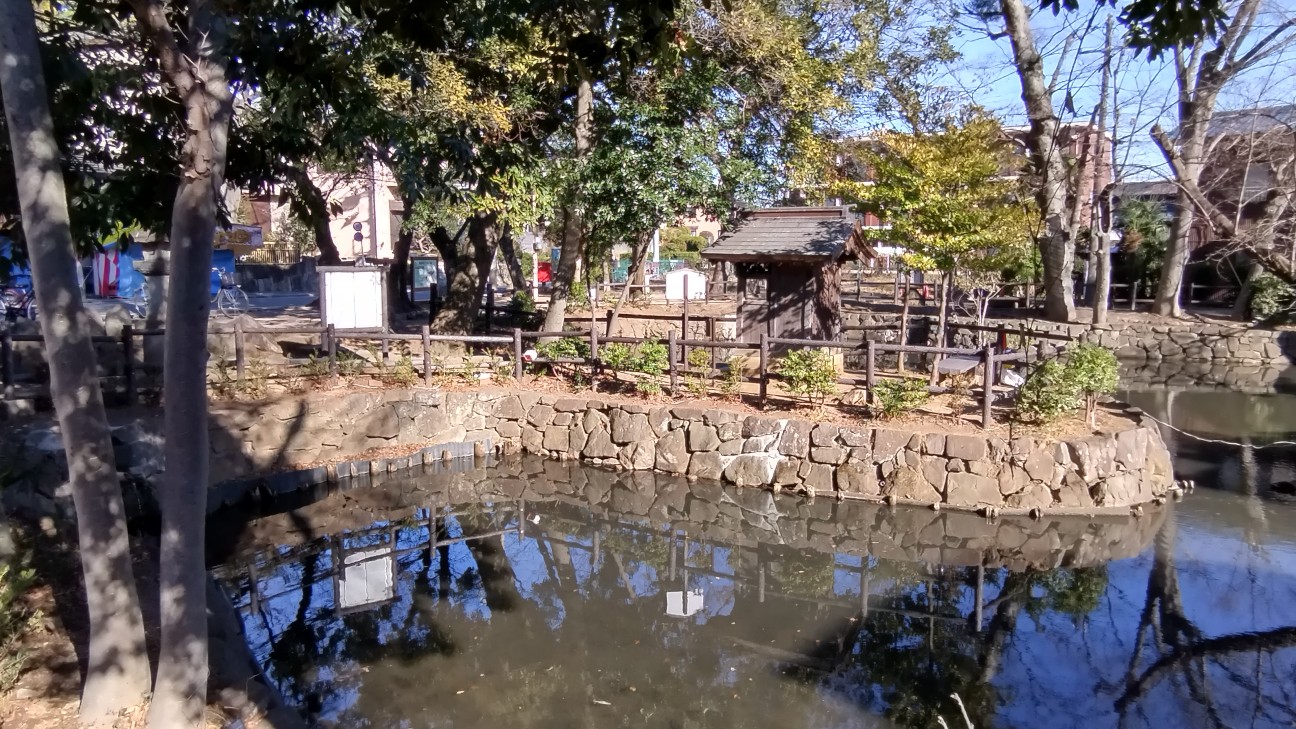 f:id:ume599:20260109213343j:image
