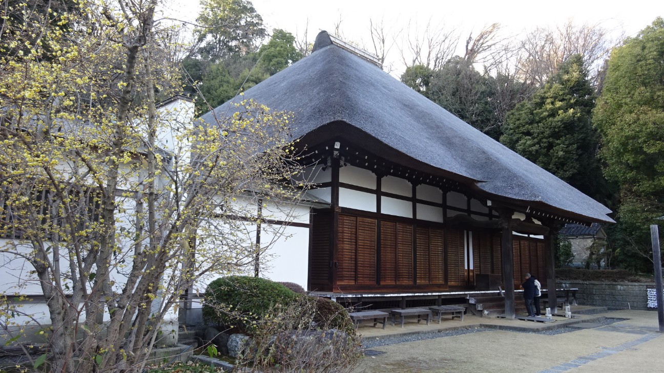 f:id:ume599:20260202211156j:image