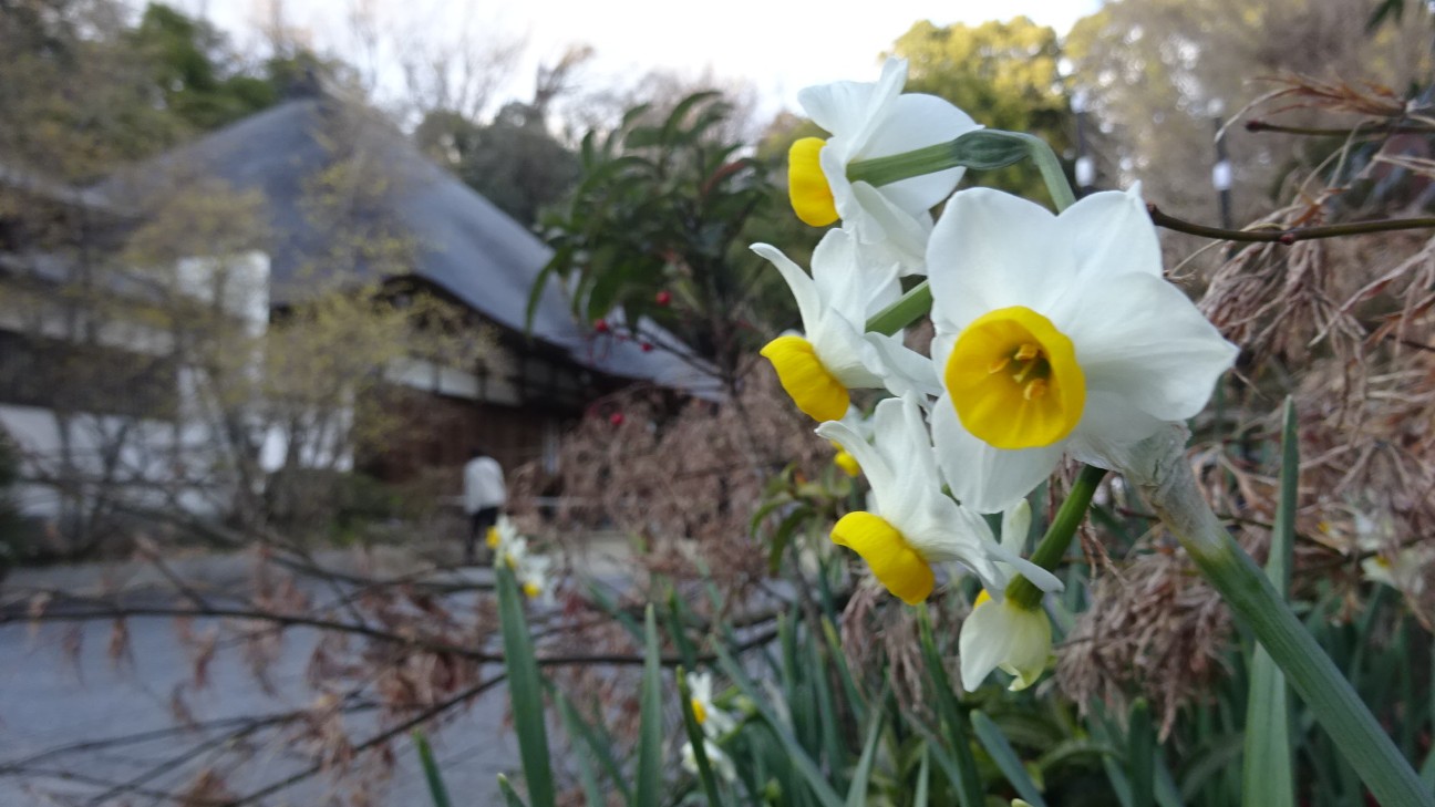 f:id:ume599:20260202211438j:image