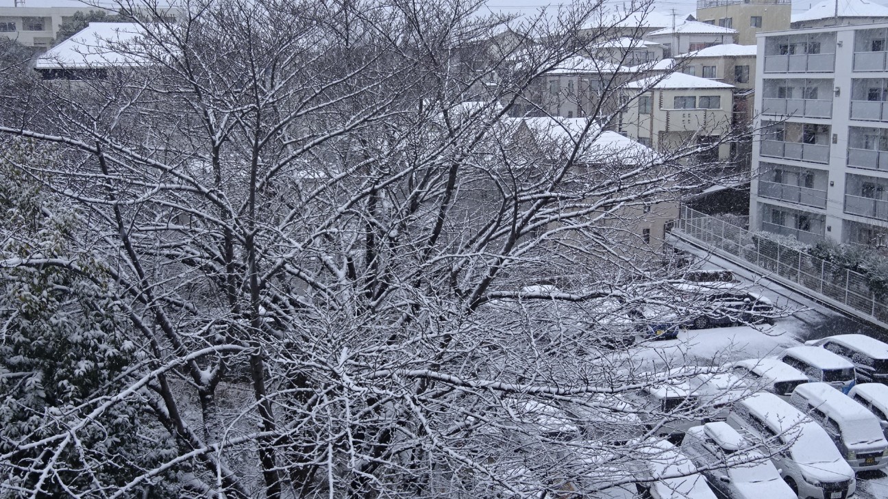 f:id:ume599:20260208072130j:image