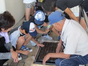 Img_47661 Img_47661