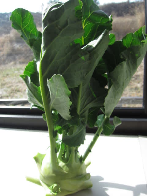 Img_6065 Img_6065