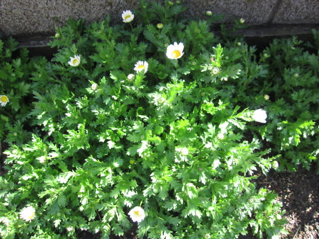 Img_6379_2 Img_6379_2