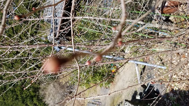 f:id:umebiwakibi:20190125091248j:image