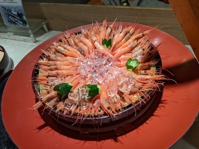 f:id:umeboh:20200131172808j:plain f:id:umeboh:20200131172808j:plain