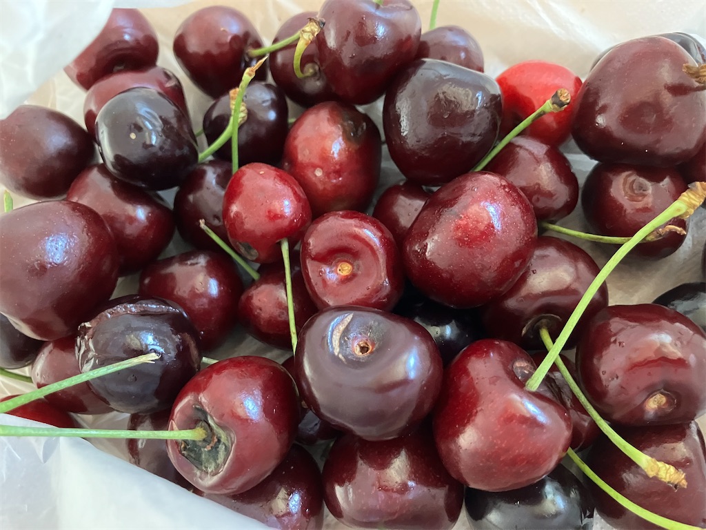 f:id:umeboshi38:20250402173312j:image f:id:umeboshi38:20250402173312j:image