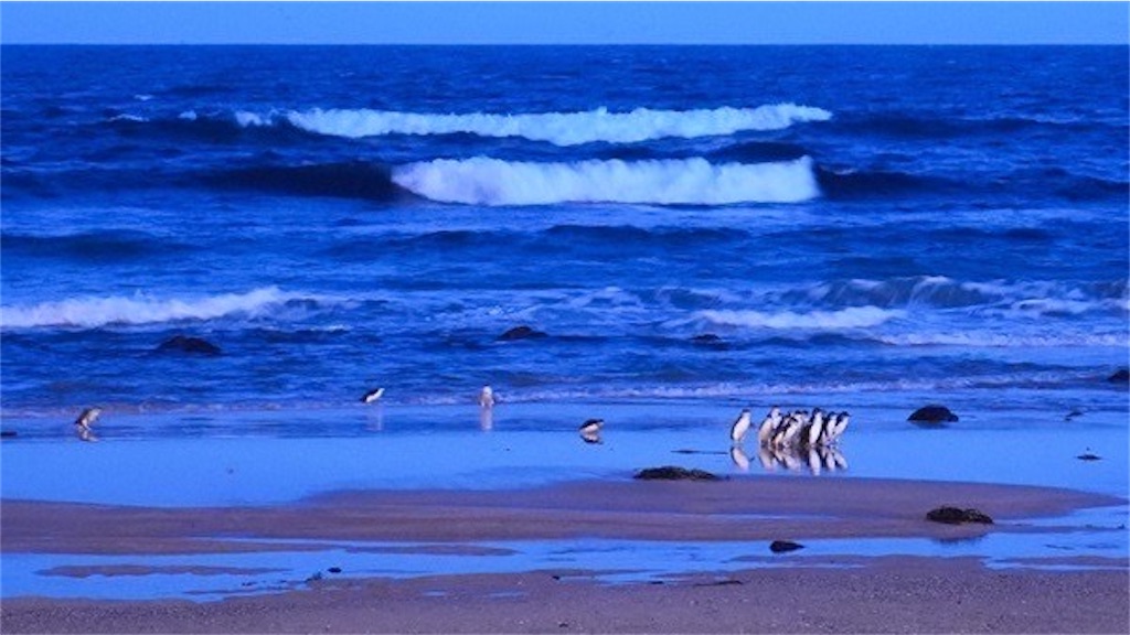 f:id:umeboshi38:20250603123809j:image f:id:umeboshi38:20250603123809j:image
