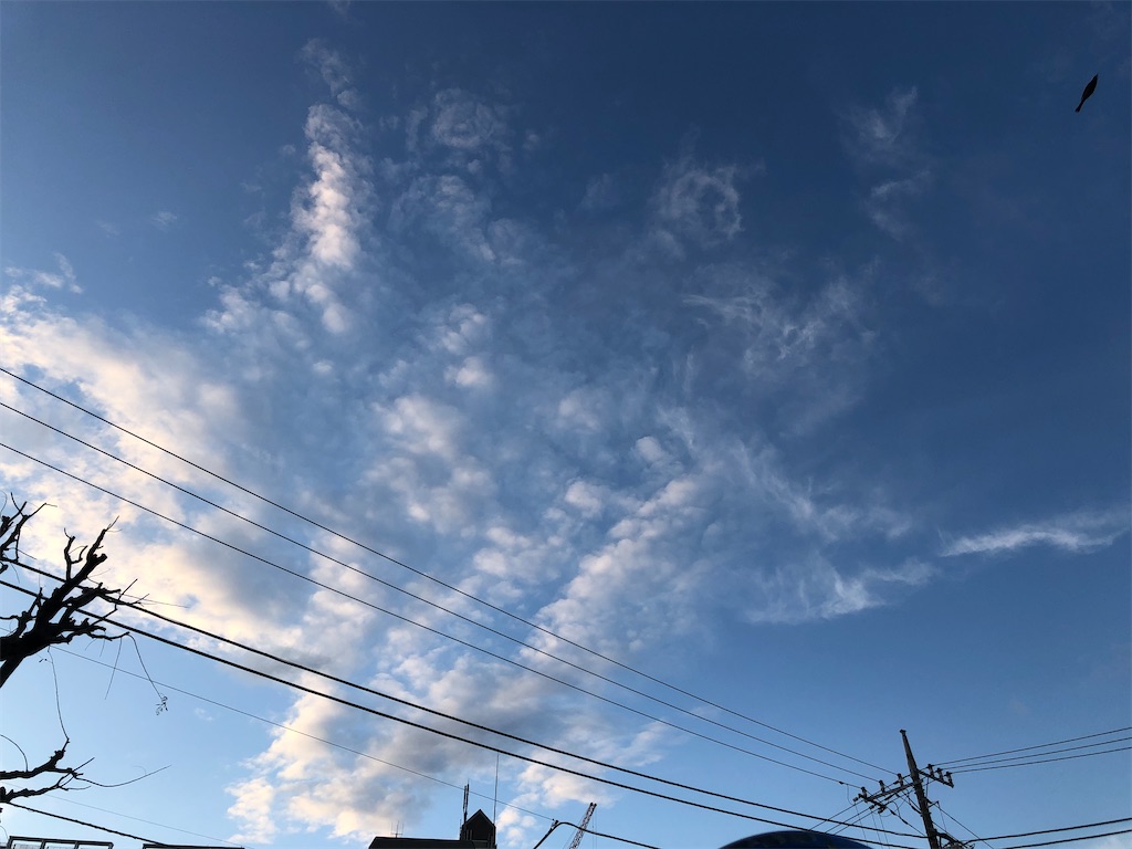 f:id:umebosi2010:20200116074555j:image f:id:umebosi2010:20200116074555j:image