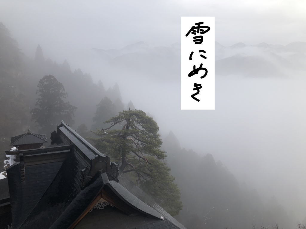 f:id:umector:20211102155305j:plain