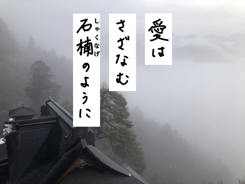 f:id:umector:20211102155904j:plain