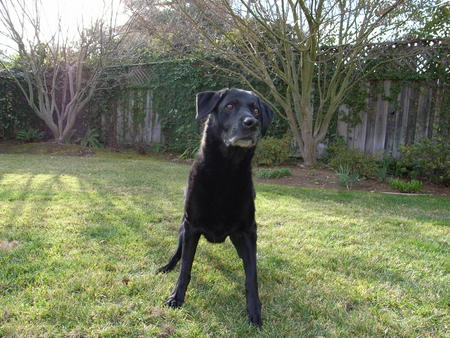 f:id:umedamochio:20080101143140j:image