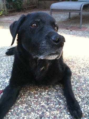 f:id:umedamochio:20091009170451j:image