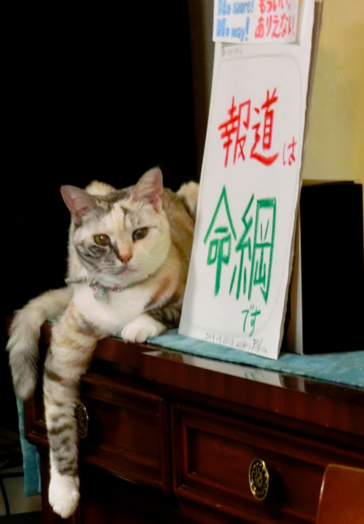 f:id:umediary:20160822220922j:plain
