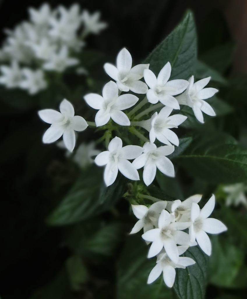 f:id:umediary:20160923082911j:plain f:id:umediary:20160923082911j:plain