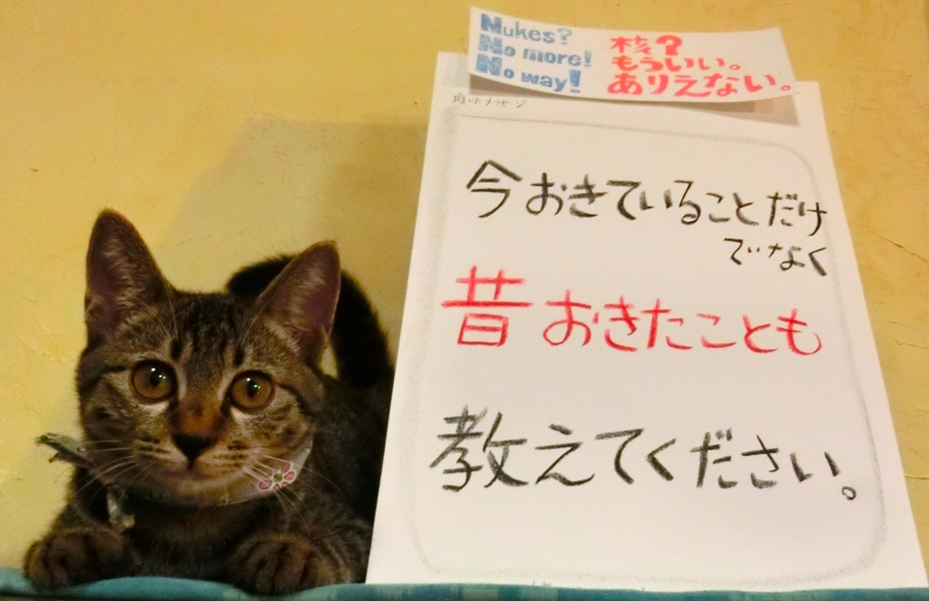 f:id:umediary:20161005001221j:plain f:id:umediary:20161005001221j:plain