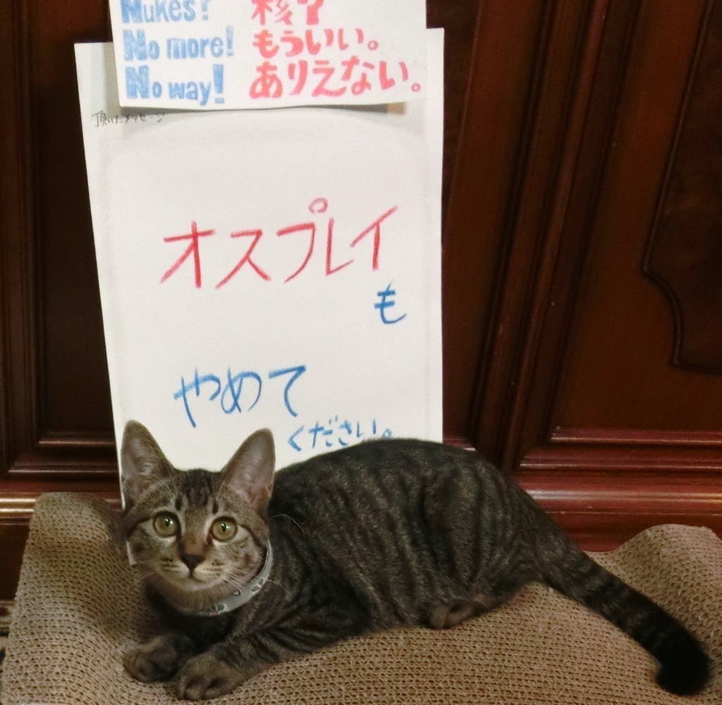 f:id:umediary:20161011230225j:plain f:id:umediary:20161011230225j:plain