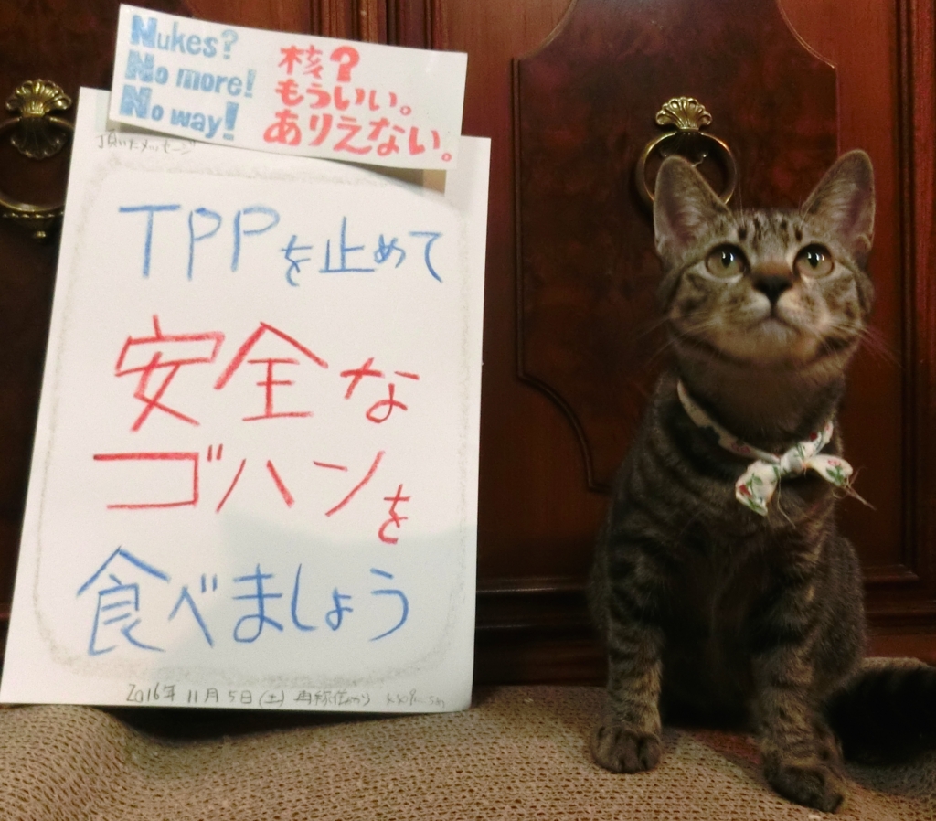 f:id:umediary:20161106012257j:plain