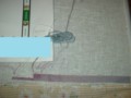 20130708164304