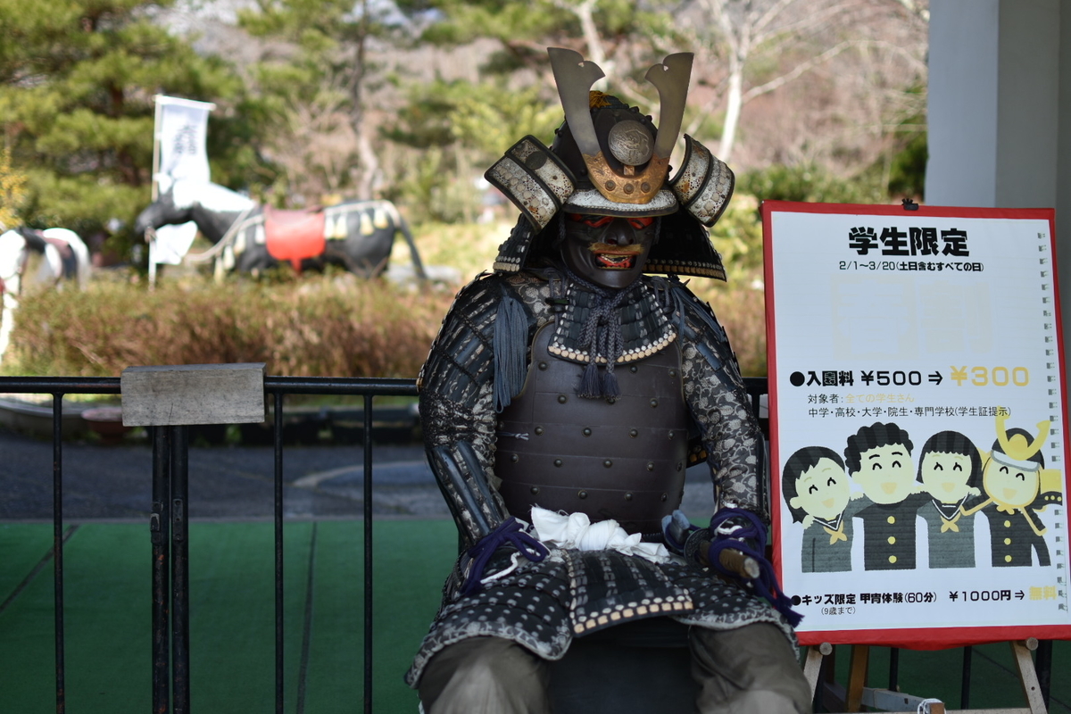 f:id:umejiru:20190325220952j:plain
