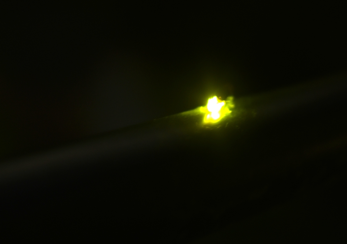 f:id:umejiru:20190823221403j:plain f:id:umejiru:20190823221403j:plain
