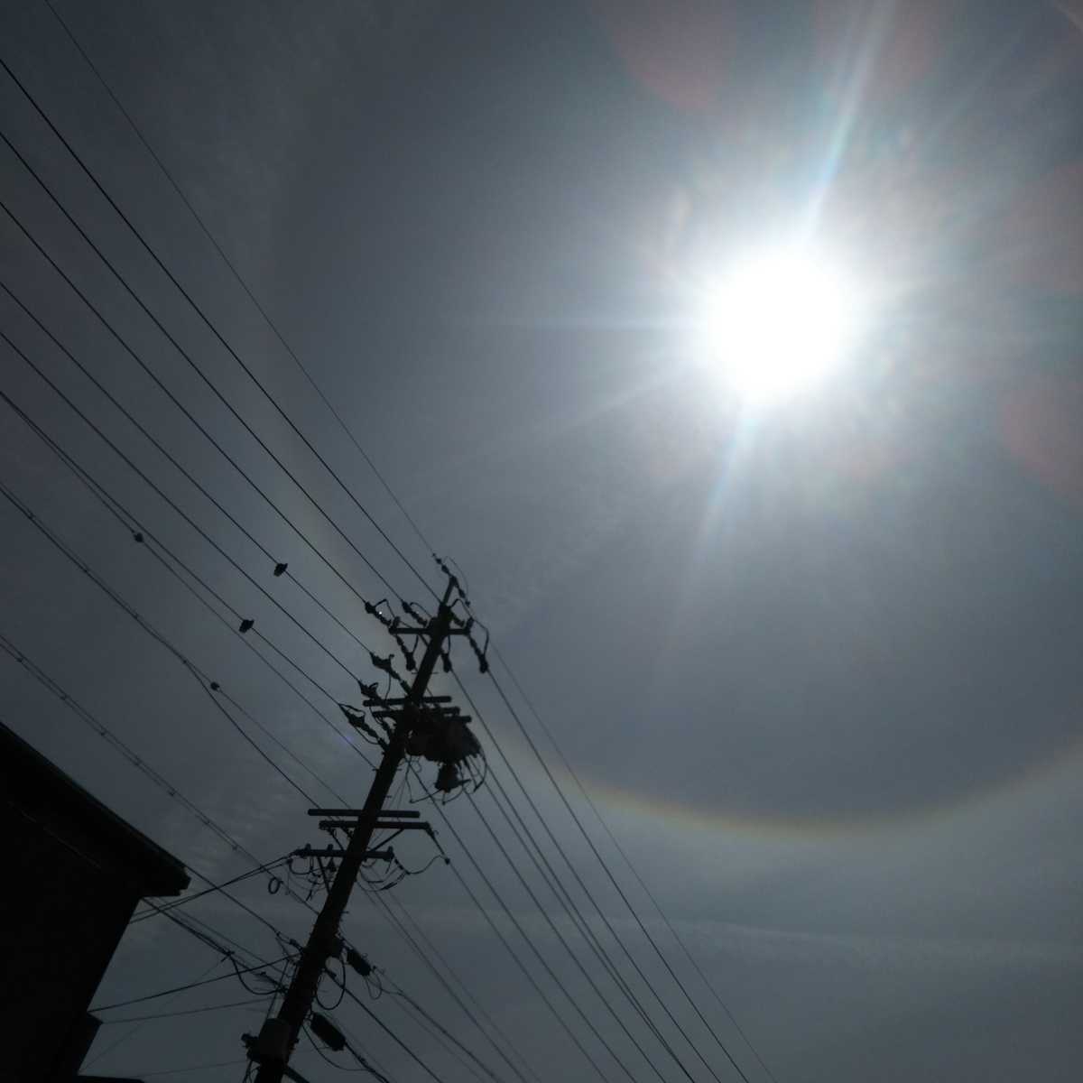 f:id:umejiru:20190823223034j:plain f:id:umejiru:20190823223034j:plain