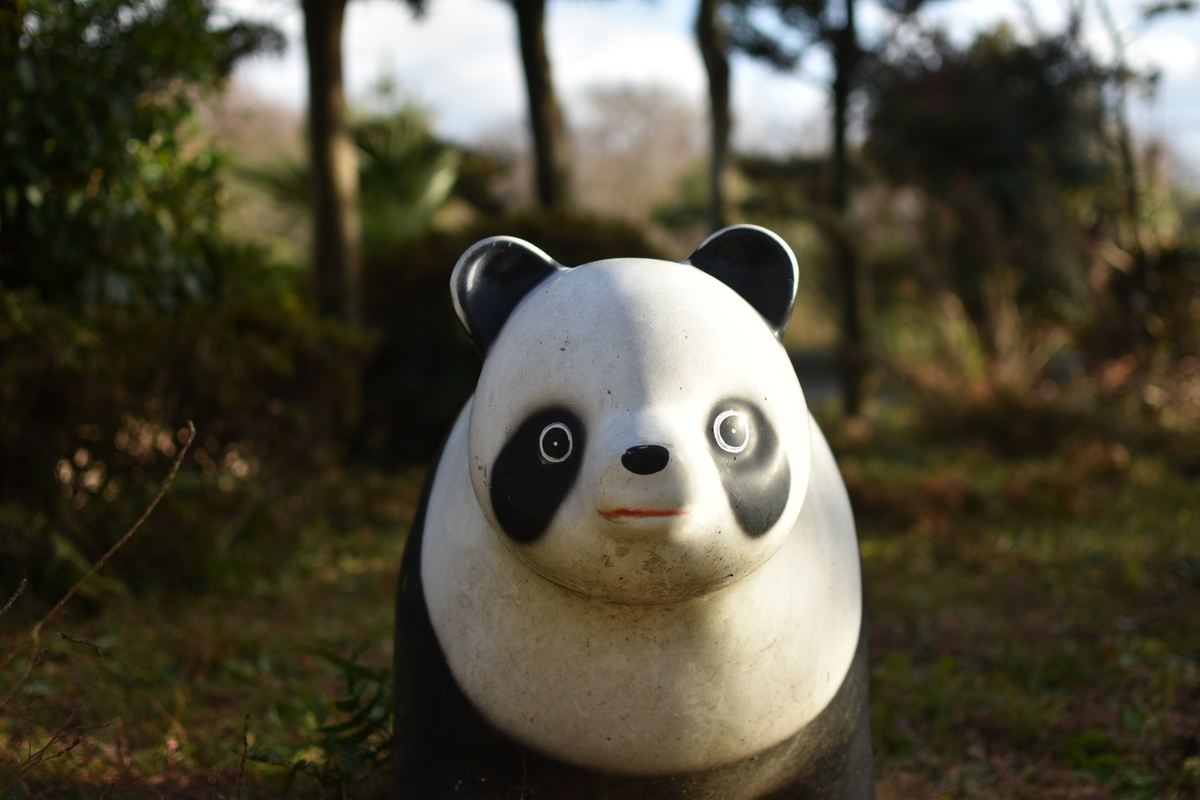 f:id:umejiru:20210104134139j:plain