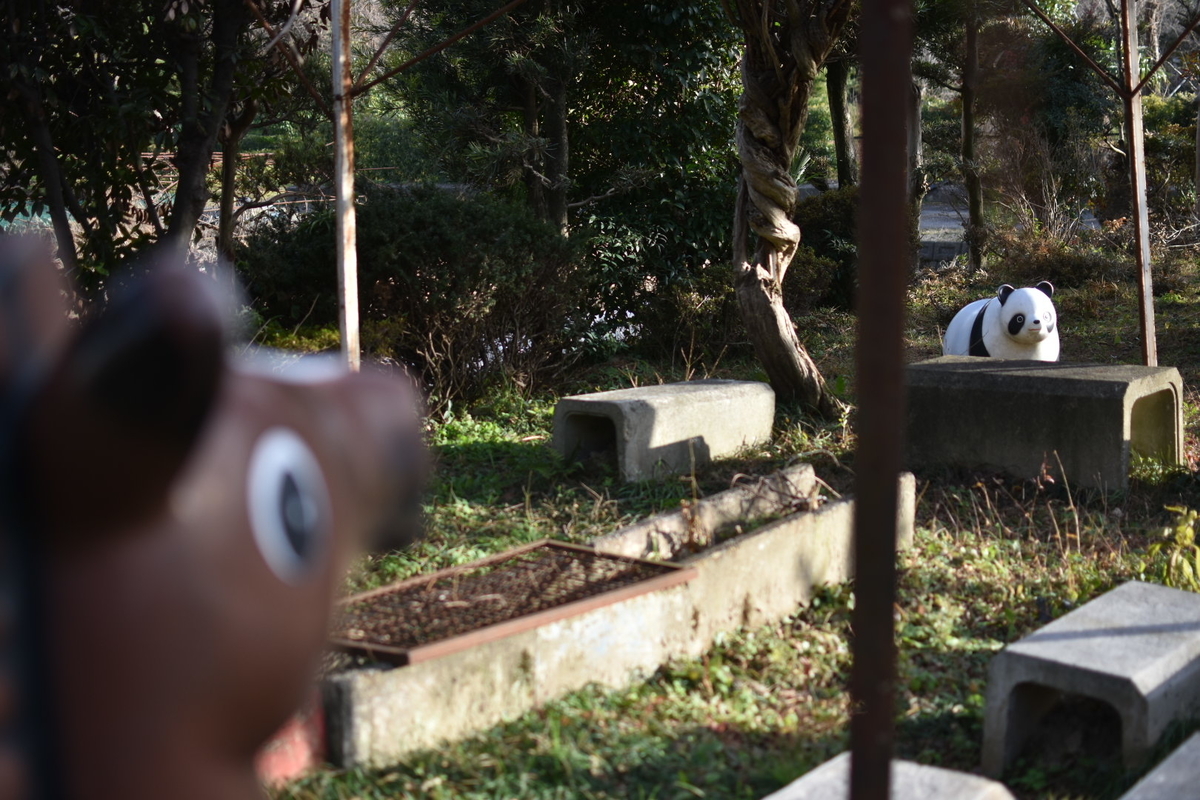 f:id:umejiru:20210104134336j:plain